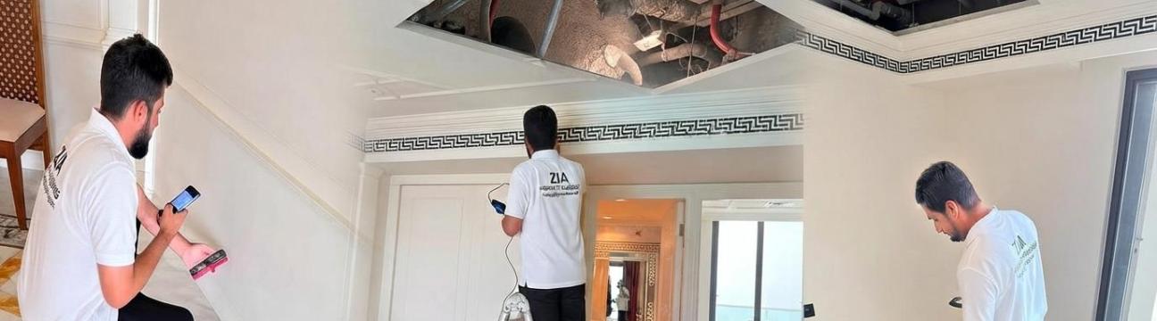 Property  Inspection