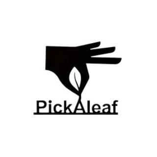 Picka Leaf