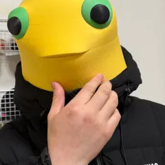 Dingchuncup Dingchuncup